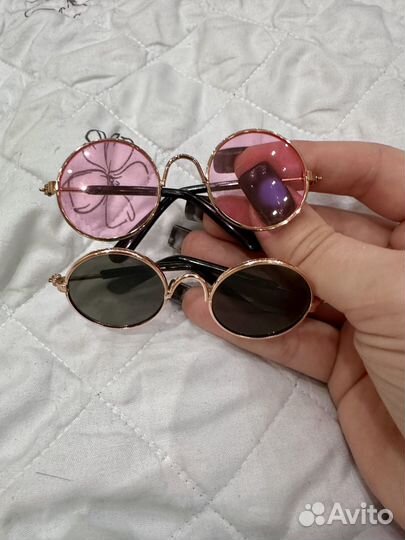 Очки для животных