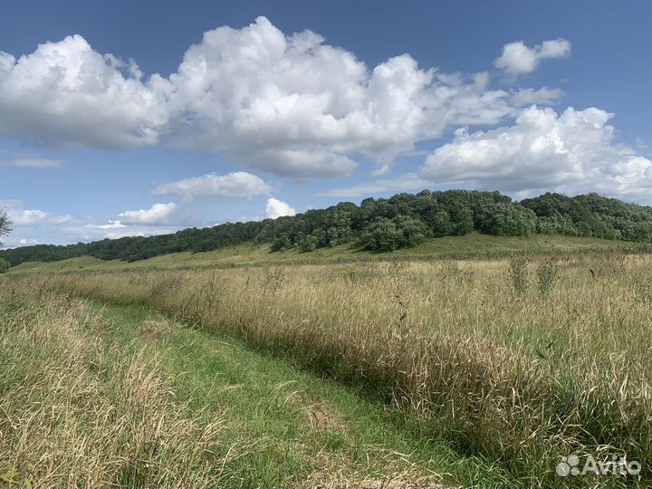 Сено луговое разнотравие,солома ячменная в тюках
