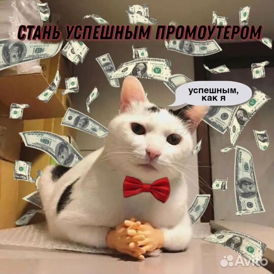 Промоутер выплаты сразу
