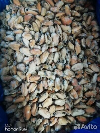 Креветки королевские. Мидии