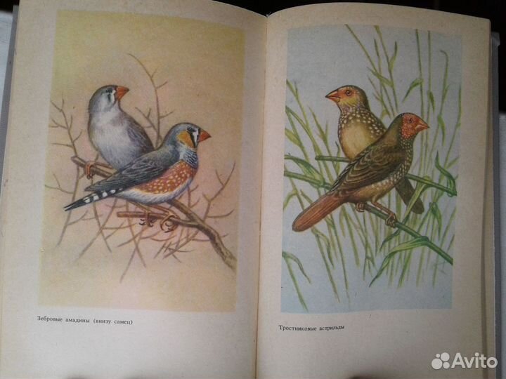 Справочное пособие для любителей птиц