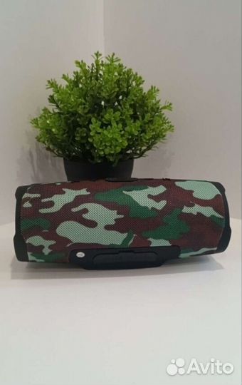 Колонка charge 4