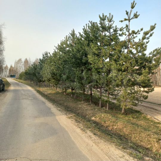 Участок 12 сот. (ИЖС)