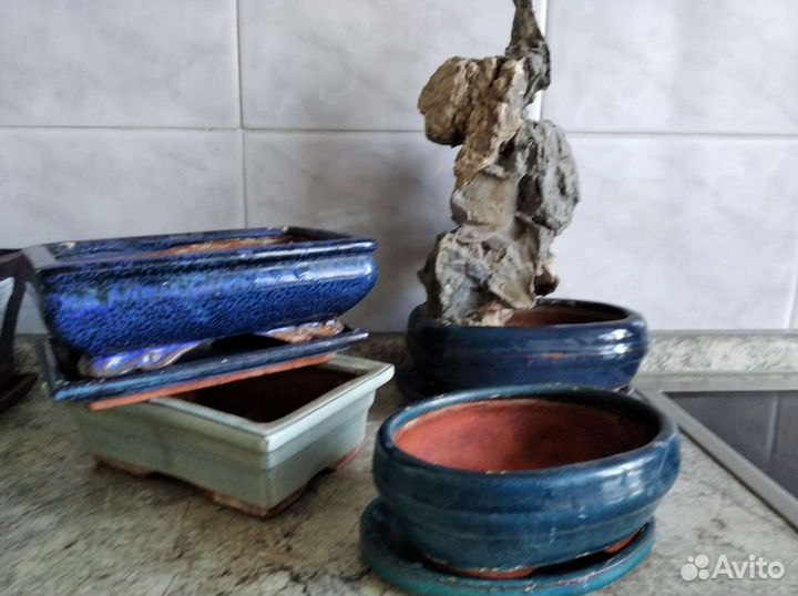 Керамические горшки для цветов бу