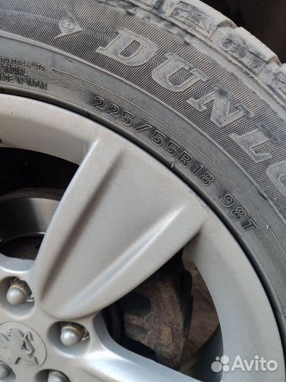 Dunlop All Season Maxx AS1 225/55 R18