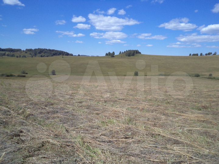 Участок 24 га (СНТ, ДНП)