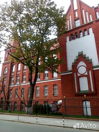 Экскурсии в калининграде