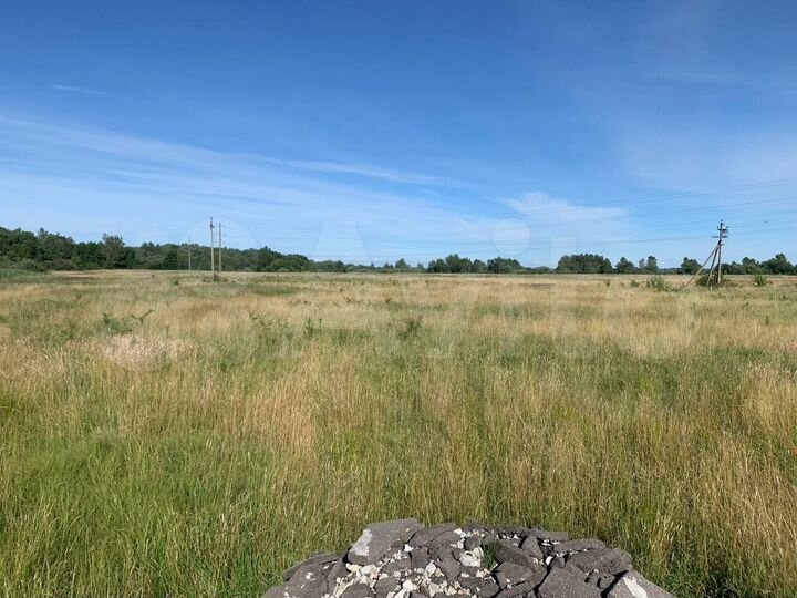 Участок 20 га (СНТ, ДНП)