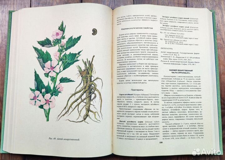 Ботанические книги лекарственные растения
