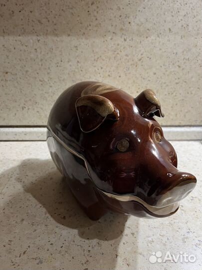 Горшок для запекания свин и блюдо под рыбу