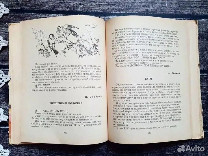 Заботливый цветок. Рассказы сказки о природе 1967
