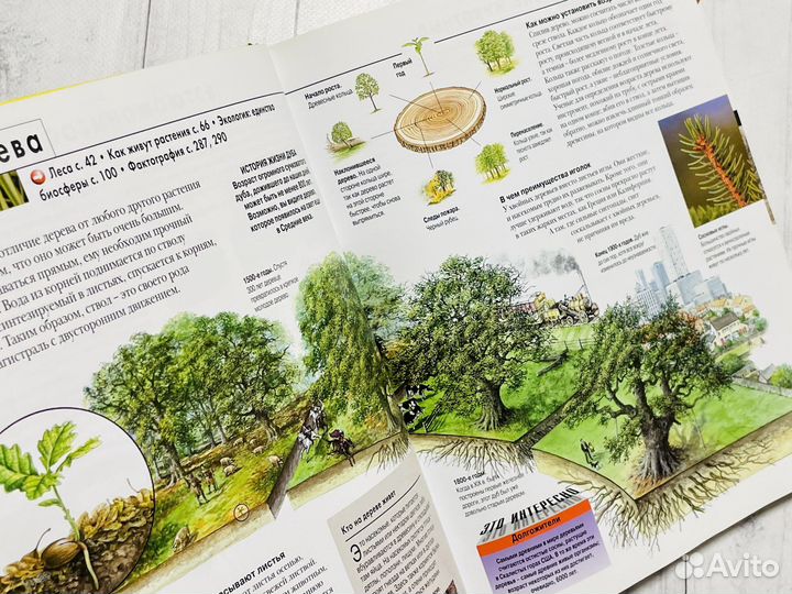 Энциклопедии Ридерз Дайджест