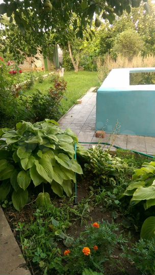 Дача 90 м² на участке 12 сот.