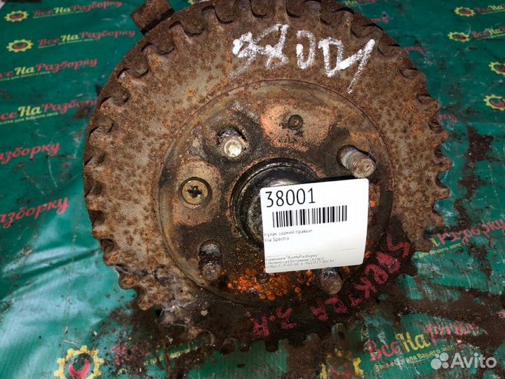 Кулак задний правый Kia Spectra