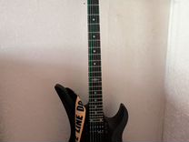 Schecter revenger