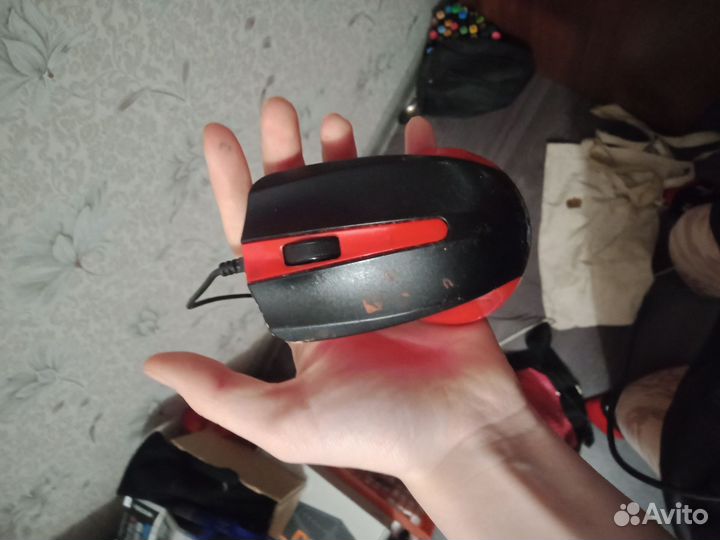 Отдам мышку бесплатно