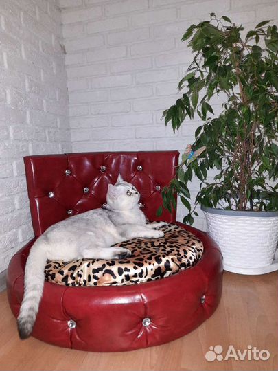 Лежанка-диван для собак и кошек