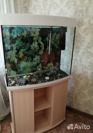 Аквариум с тумбой 170 литров