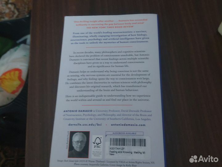 Антонио Дамасио Чувство и знание: осознание разума