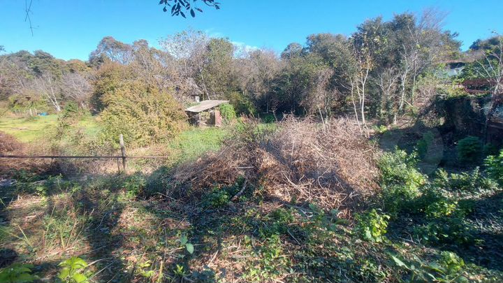 Участок 12 сот. (СНТ, ДНП)