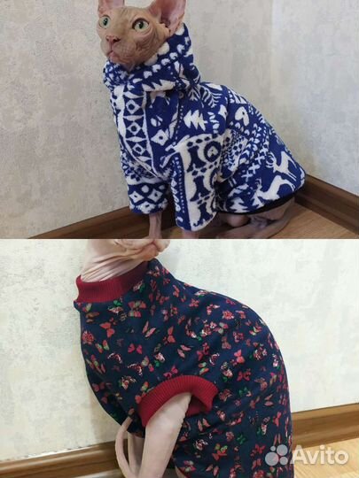 Кофточки для сфинкса (одежда для кошек)