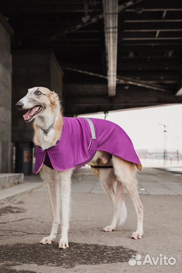 Охлаждающая попона жилет для собаки