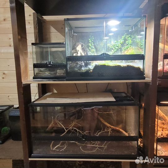 Террариум Exo Terra