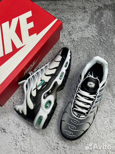 Кроссовки мужские Nike Air max TN plus