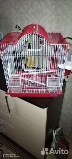 Клетка для волнистого попугая