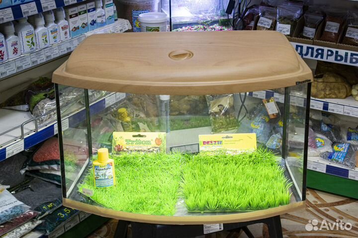 Аквариумы для рыб