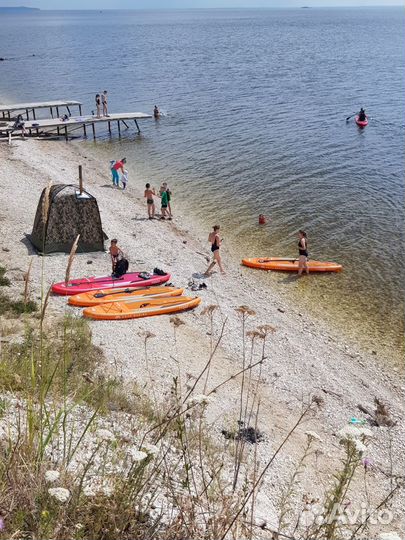 Прокат, аренда сапборд, сап доска, сап (sup борд)