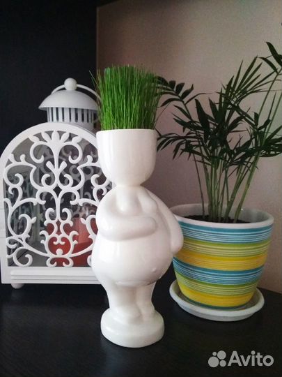 Экочеловек 