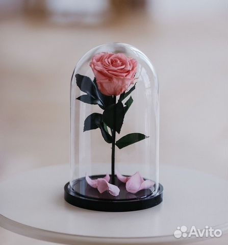 Розы в колбе на выбор