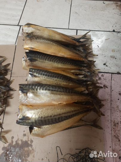 Копченая рыба скумбрия