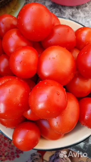 Помидоры домашние, очень вкусные и большие
