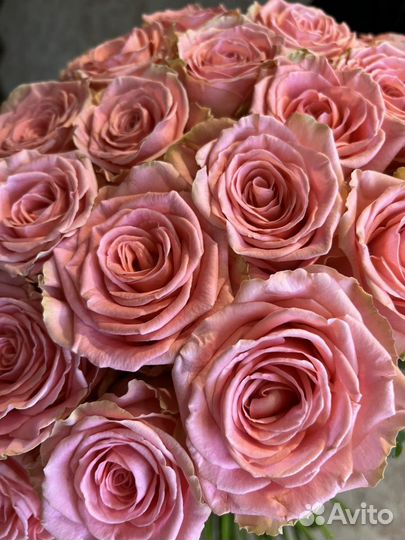 101 роза Букеты цветов Доставка цветов