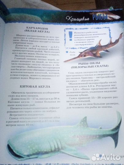 Полная энциклопедия животных