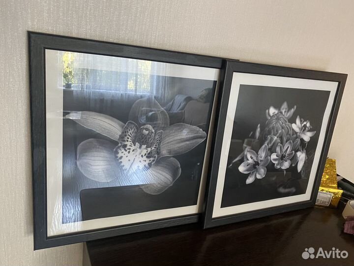 Картина IKEA постер в раме 2 штуки