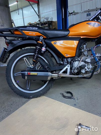 Racer Alpha gs 110 (160)