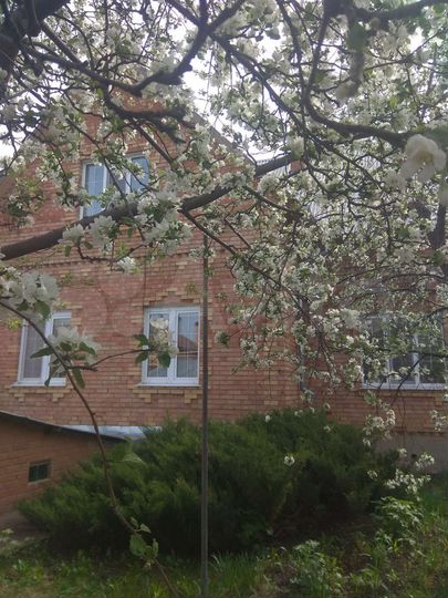 Дом 160 м² на участке 23,8 сот.