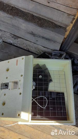 Инкубатор для яиц