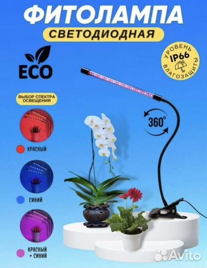 Фитолампа для растений