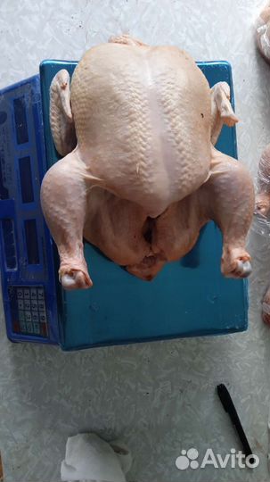 Мясо курицы