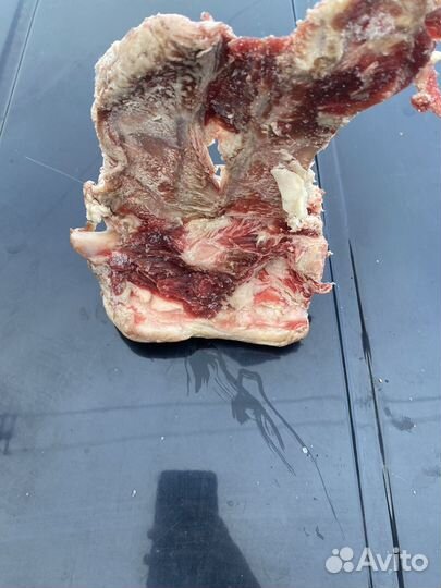 Вкусняшки для собак