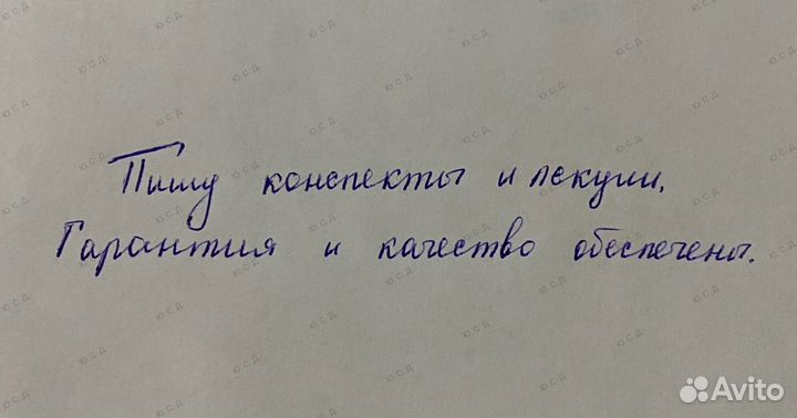 Перепишу конспекты/лекции