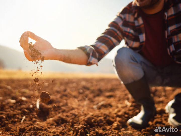 Плодородный грунт. Софьино