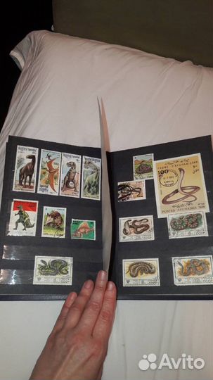 Альбом с марками СССР