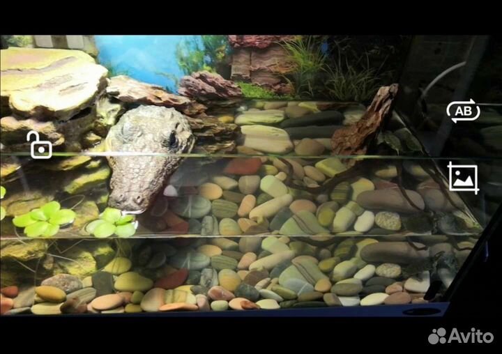Акватеррариум 60 литров
