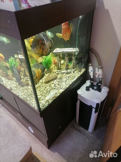Аквариум с тумбой 600 литров