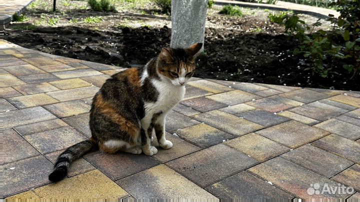 Брусчатка по госту от 120 м2